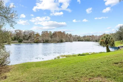 7467 Terrace River Drive Temple Terrace FL 33637