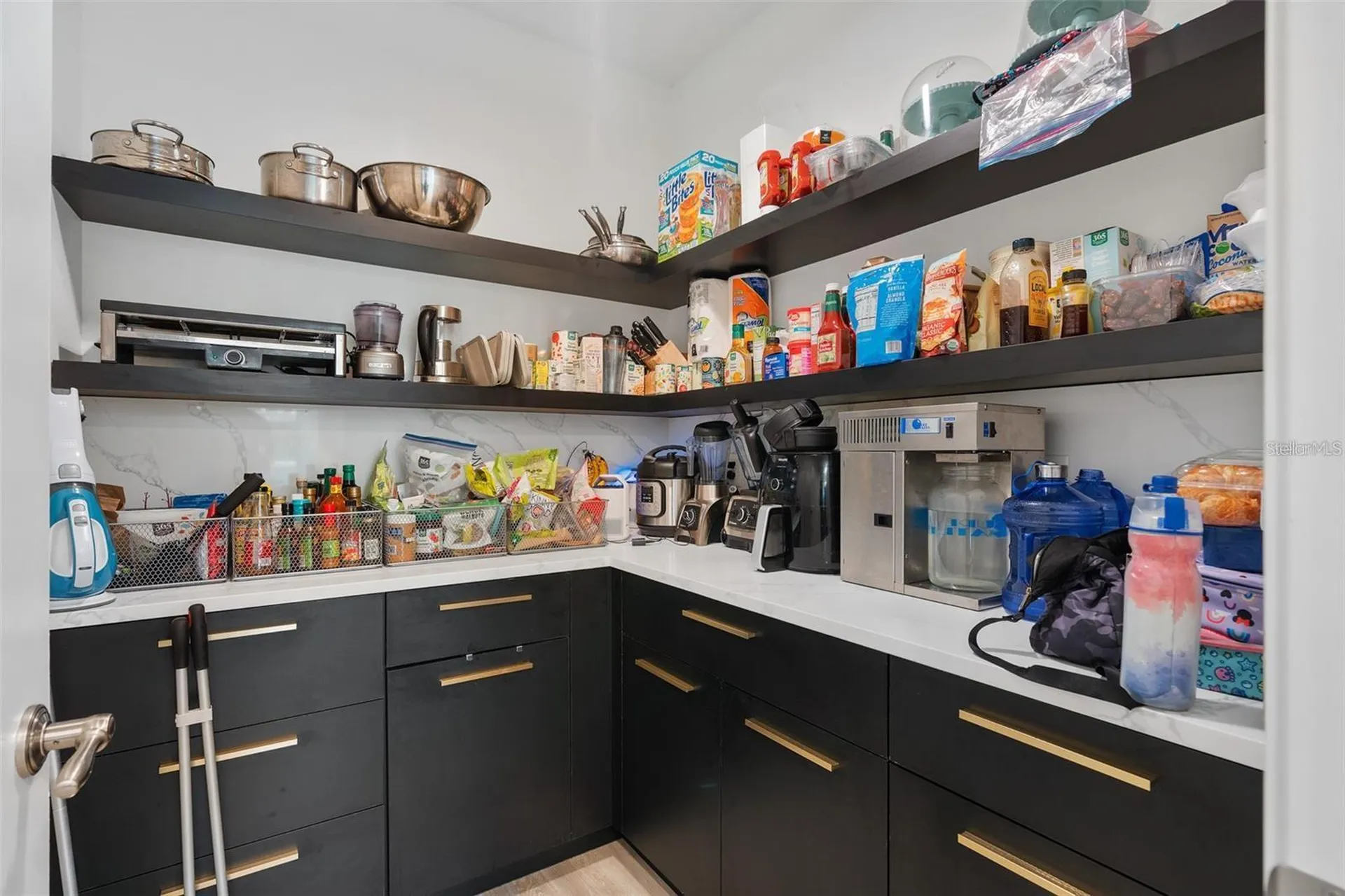 4509 Patricia Ann Court Orlando FL 32839