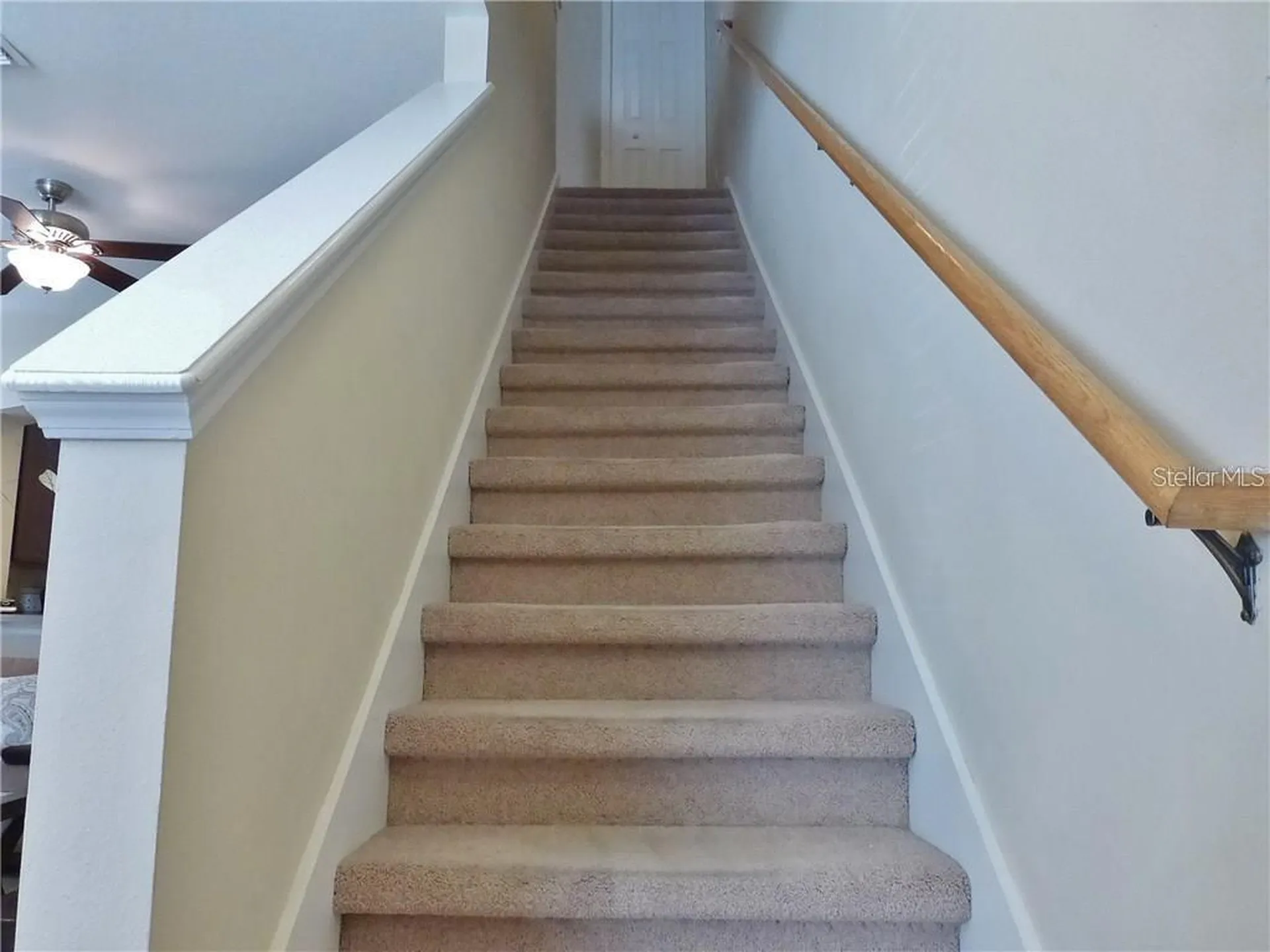 8904 Red Beechwood Court Riverview FL 33578