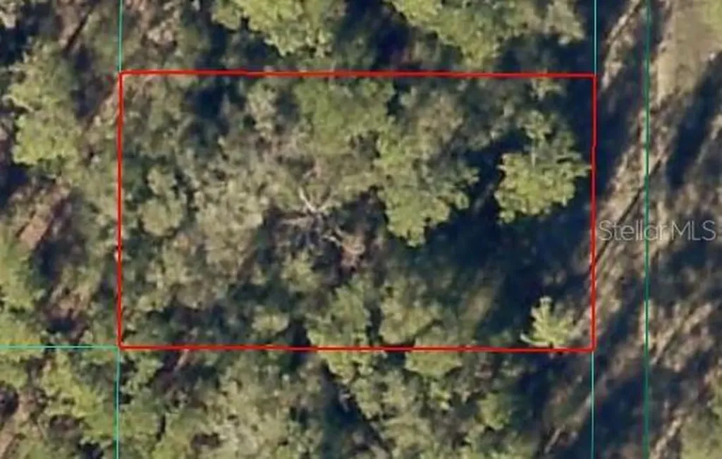 SW 154 Terrace Ocala FL 34481