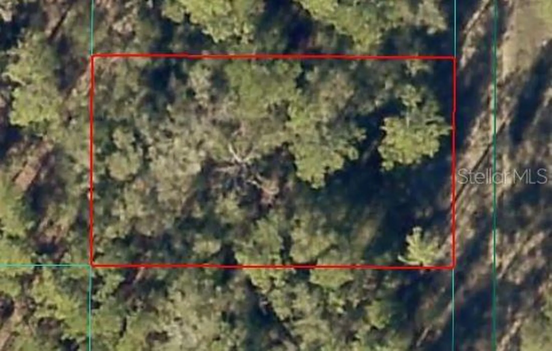 SW 154 Terrace Ocala FL 34481