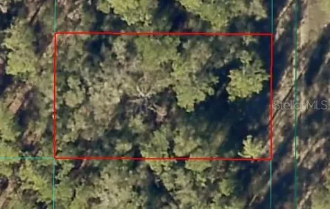 SW 154 Terrace Ocala FL 34481