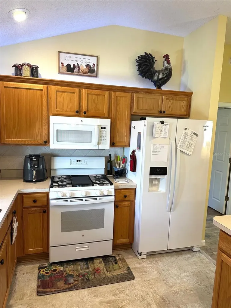 1289 Addison Avenue The Villages FL 32162