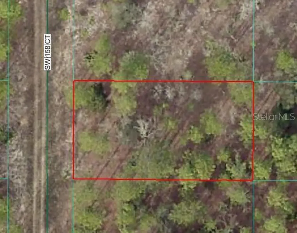 SW 158 Court Ocala FL 34481
