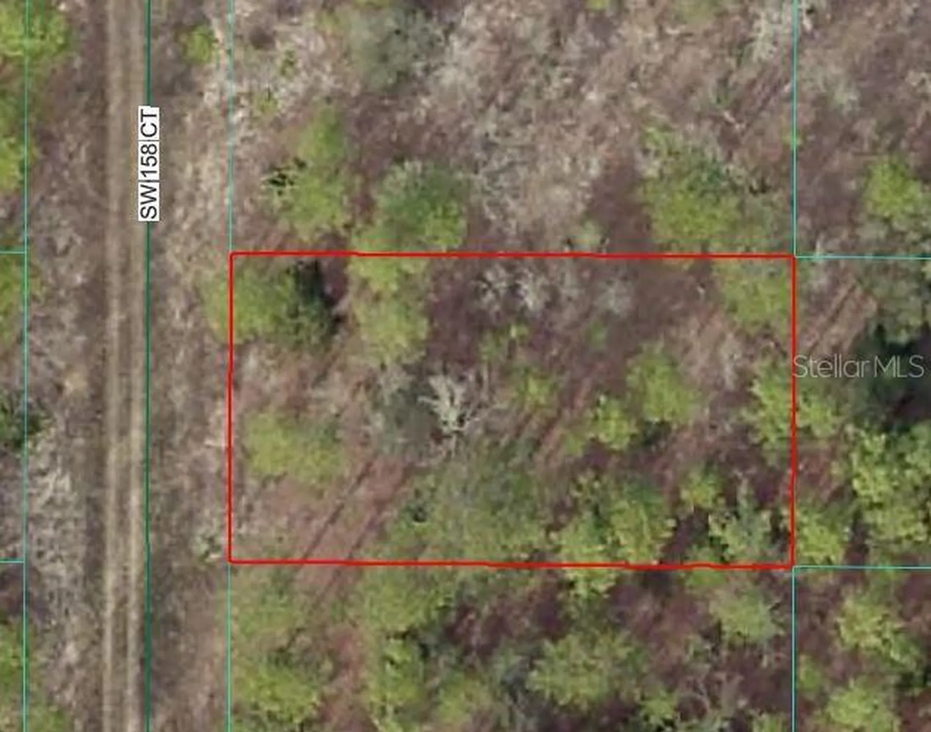 SW 158 Court Ocala FL 34481