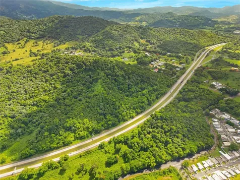 Bo Maizales Calle Borges Final Naguabo PR 00718