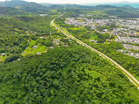 Bo Maizales Calle Borges Final Naguabo PR 00718