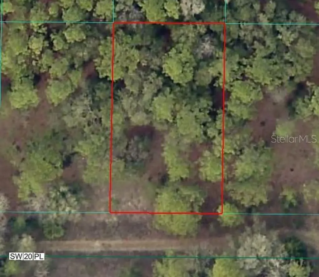SW 20th Place Ocala FL 34481
