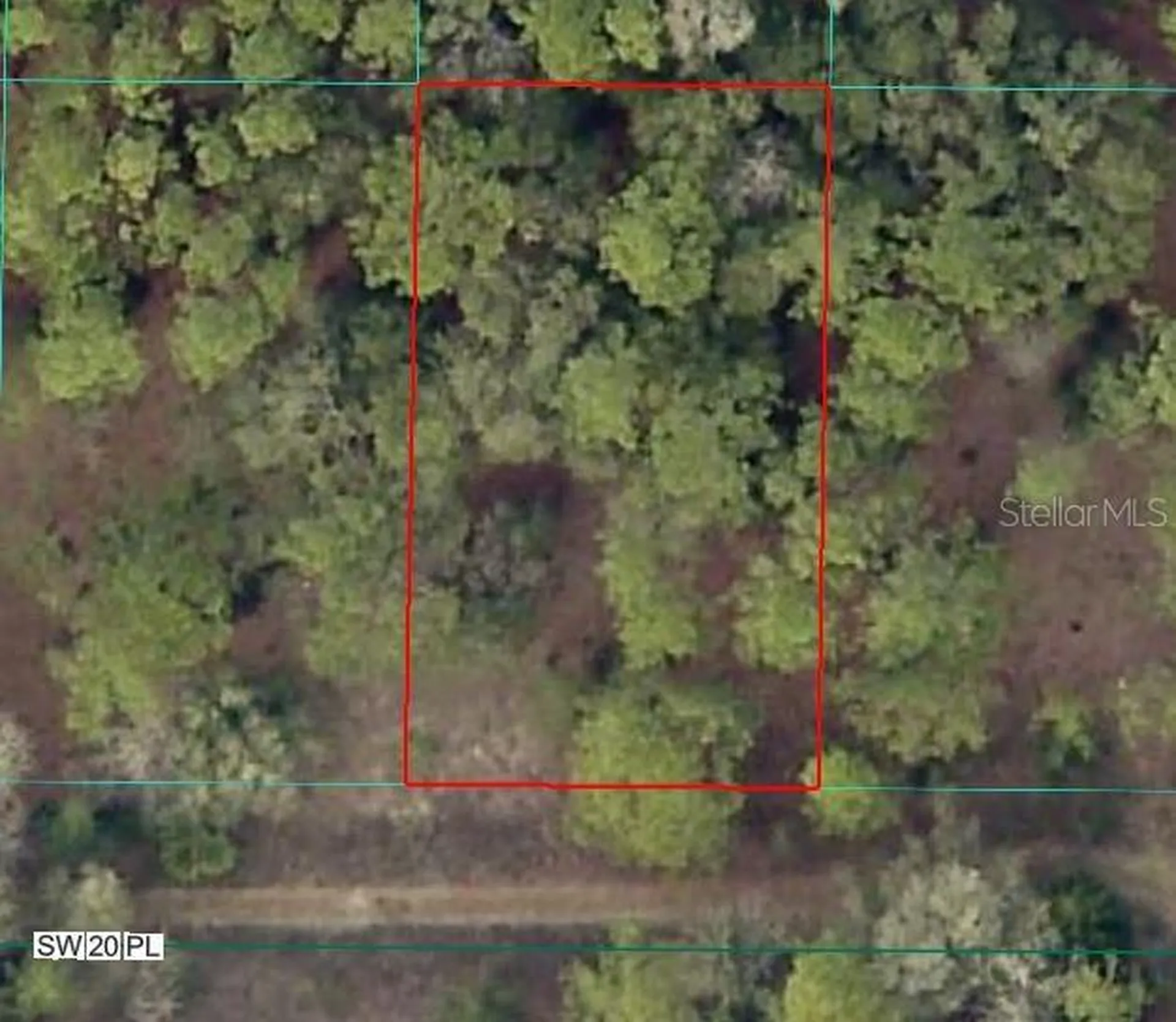 SW 20th Place Ocala FL 34481