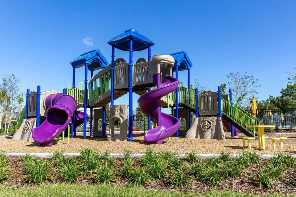 33064 Tulip Petal Lane Wesley Chapel FL 33545