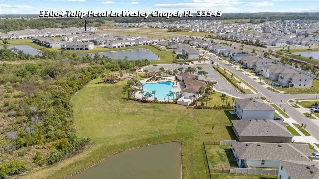 33064 Tulip Petal Lane Wesley Chapel FL 33545