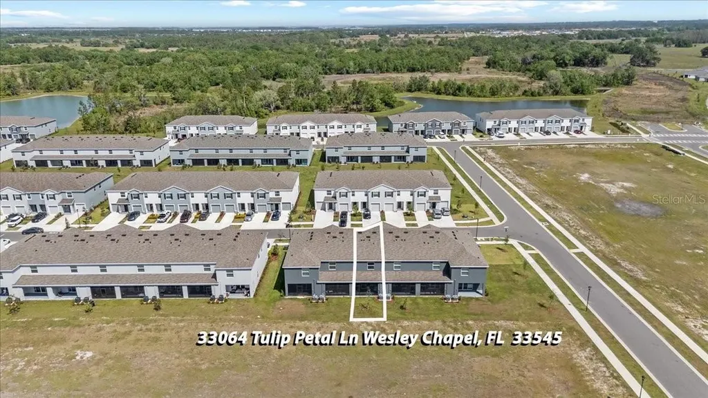 33064 Tulip Petal Lane Wesley Chapel FL 33545