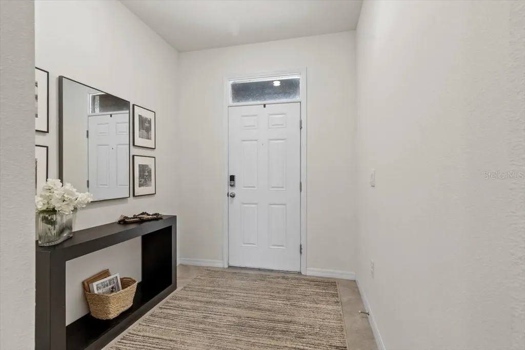 33064 Tulip Petal Lane Wesley Chapel FL 33545