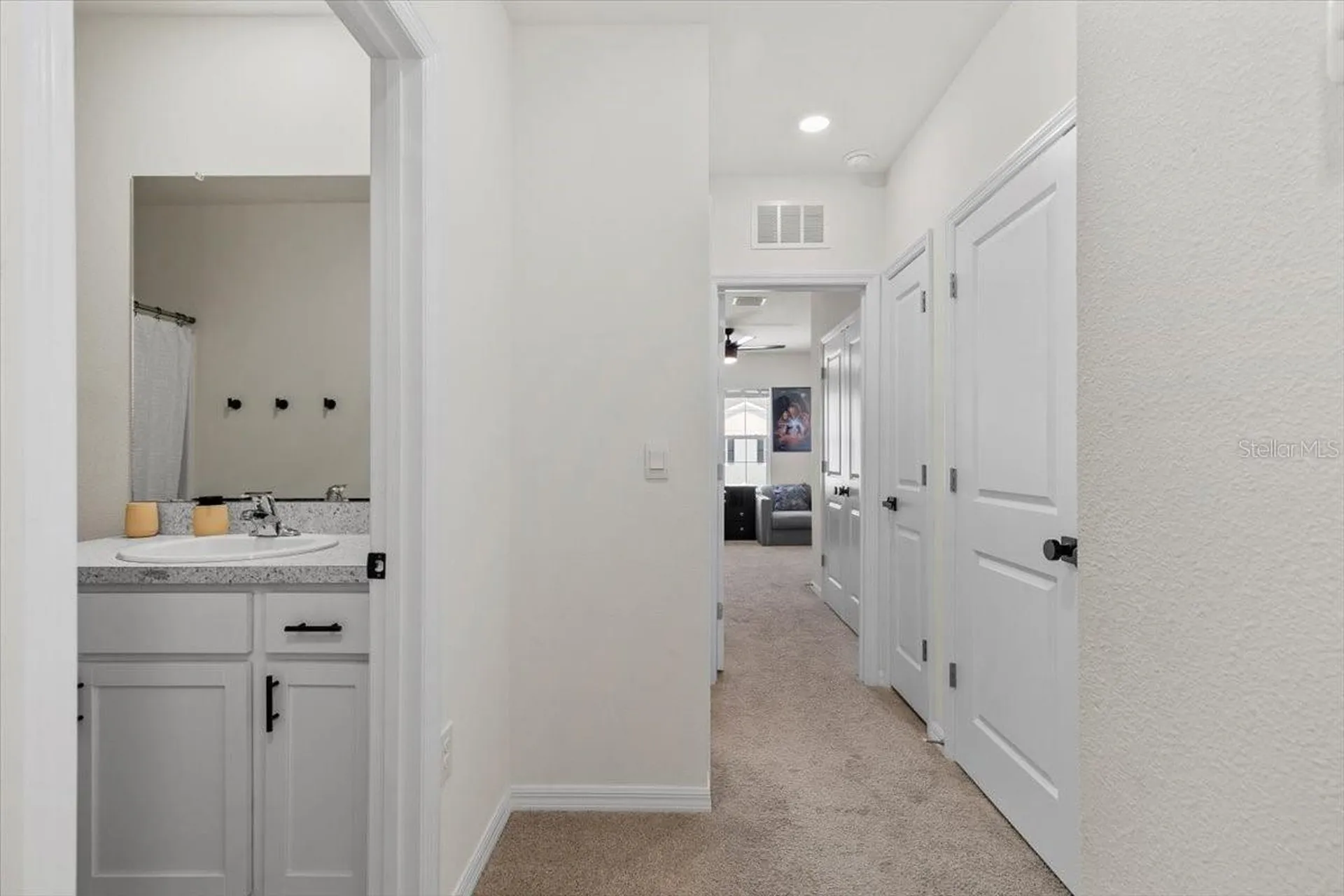 33064 Tulip Petal Lane Wesley Chapel FL 33545