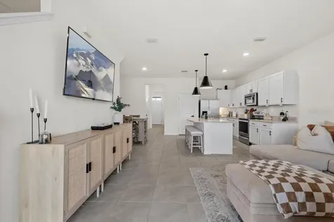 33064 Tulip Petal Lane Wesley Chapel FL 33545