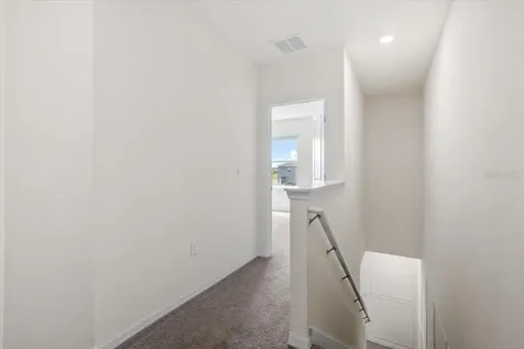 33064 Tulip Petal Lane Wesley Chapel FL 33545