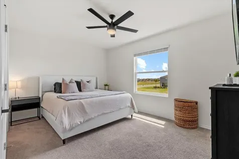 33064 Tulip Petal Lane Wesley Chapel FL 33545