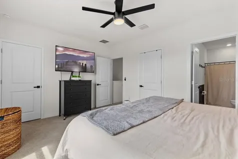33064 Tulip Petal Lane Wesley Chapel FL 33545