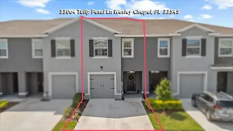 33064 Tulip Petal Lane Wesley Chapel FL 33545