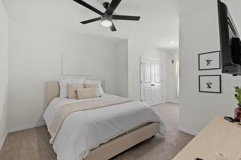 33064 Tulip Petal Lane Wesley Chapel FL 33545