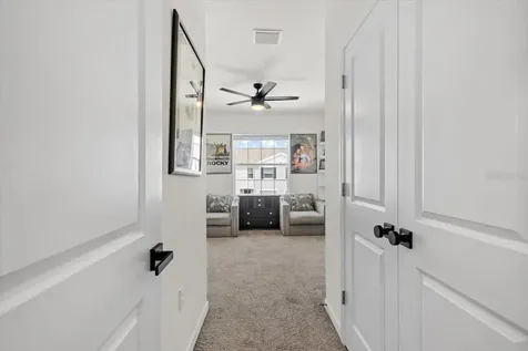 33064 Tulip Petal Lane Wesley Chapel FL 33545