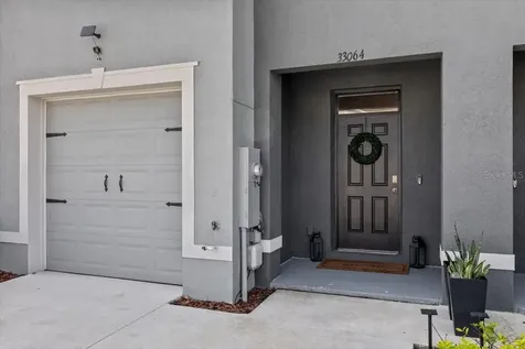 33064 Tulip Petal Lane Wesley Chapel FL 33545