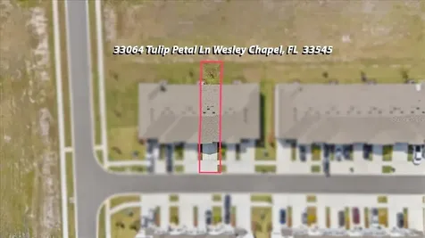 33064 Tulip Petal Lane Wesley Chapel FL 33545