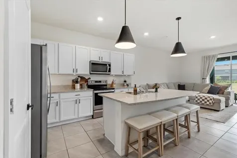 33064 Tulip Petal Lane Wesley Chapel FL 33545