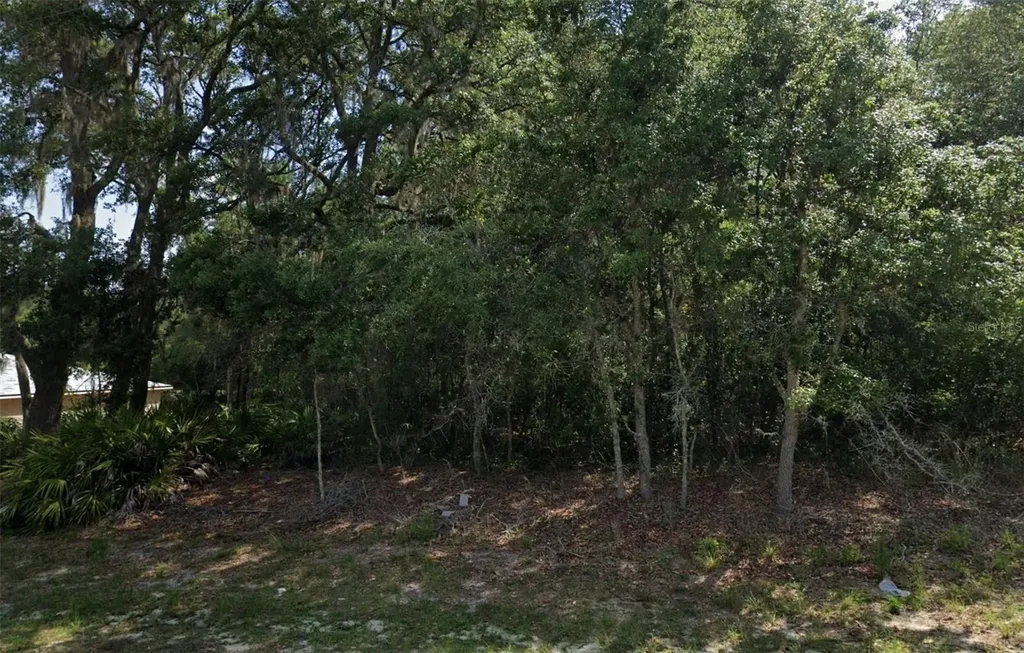 SW 79th Avenue Road Ocala FL 34473