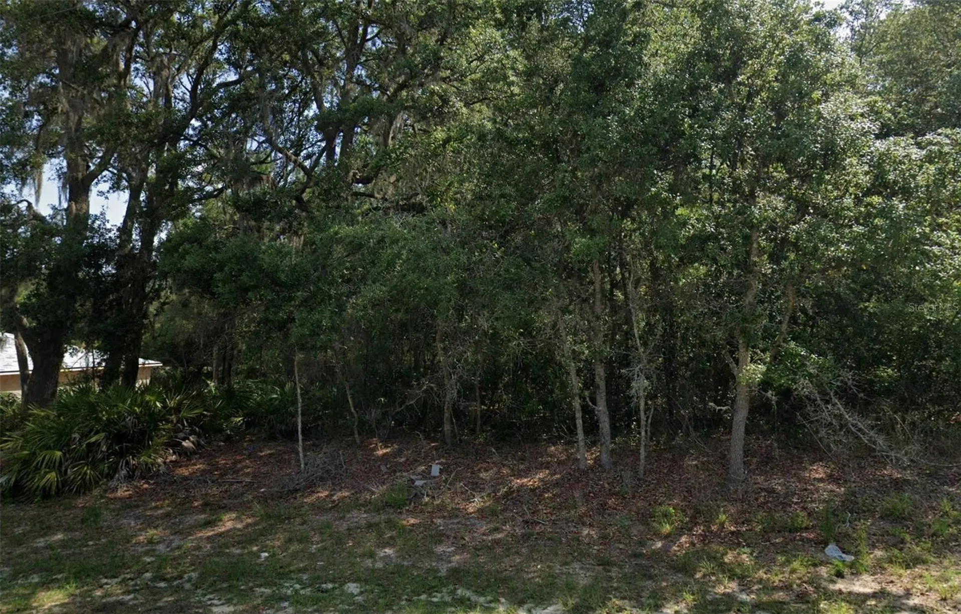 SW 79th Avenue Road Ocala FL 34473