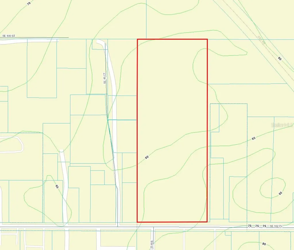 00 SE 102 Place Belleview FL 34420