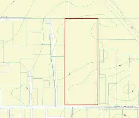 00 SE 102 Place Belleview FL 34420