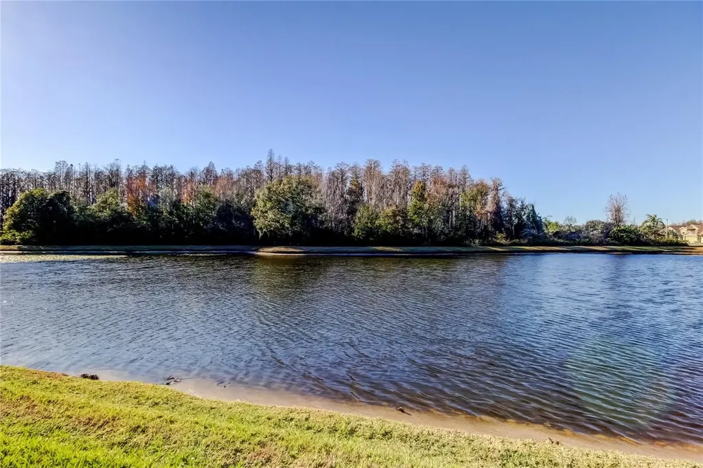 3333 Brenford Place Land O Lakes FL 34638
