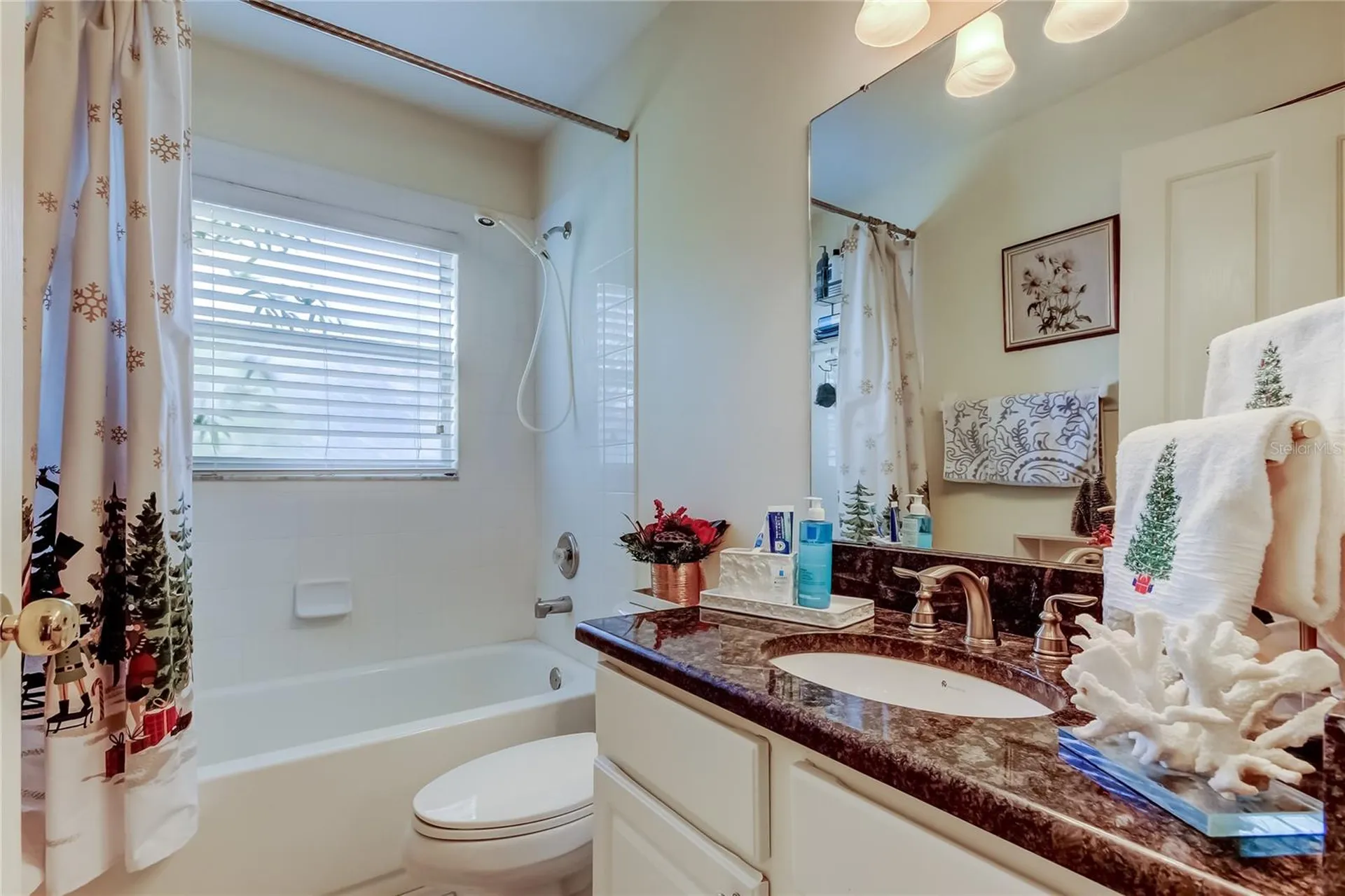 3333 Brenford Place Land O Lakes FL 34638