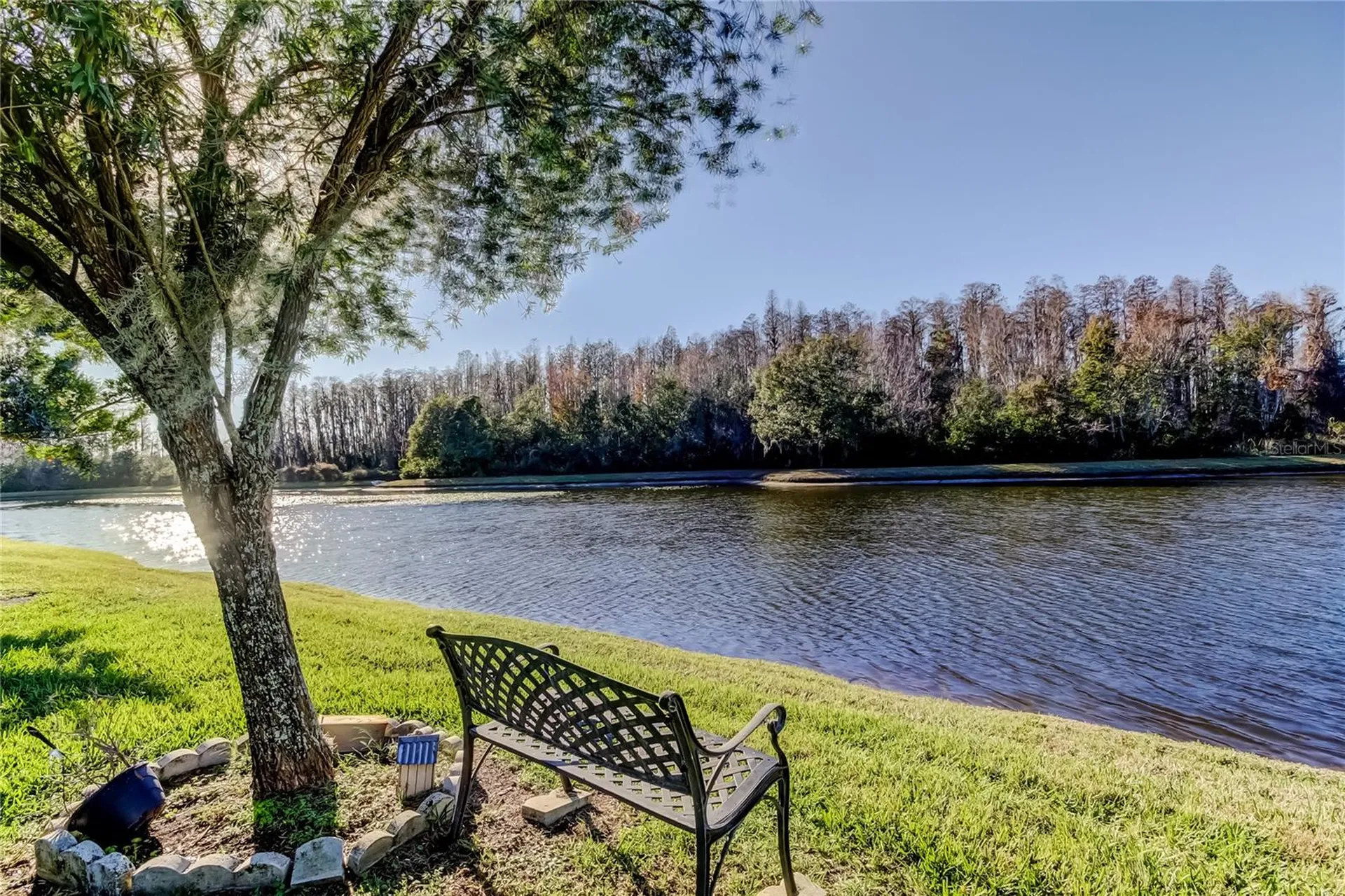 3333 Brenford Place Land O Lakes FL 34638