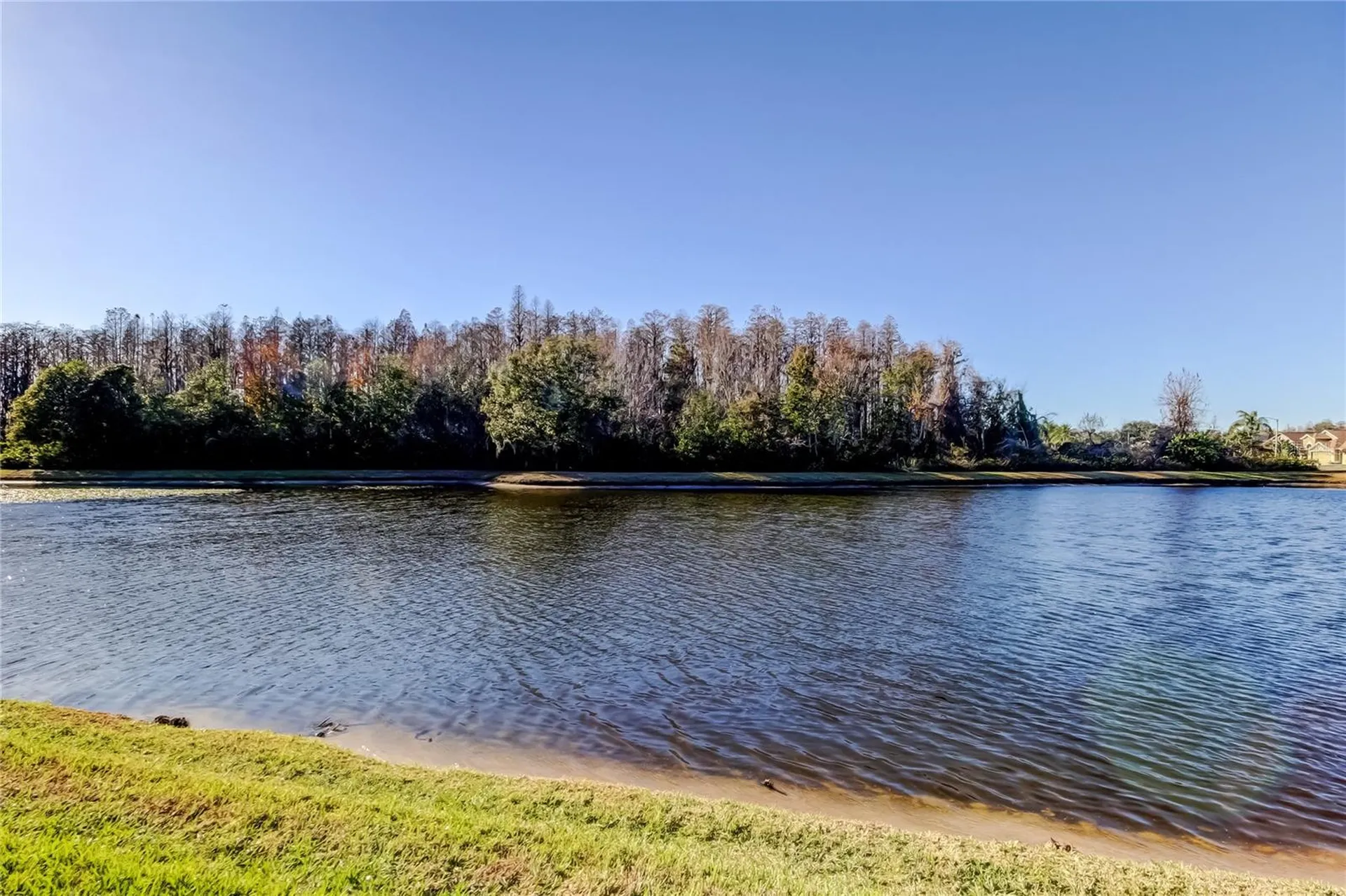 3333 Brenford Place Land O Lakes FL 34638