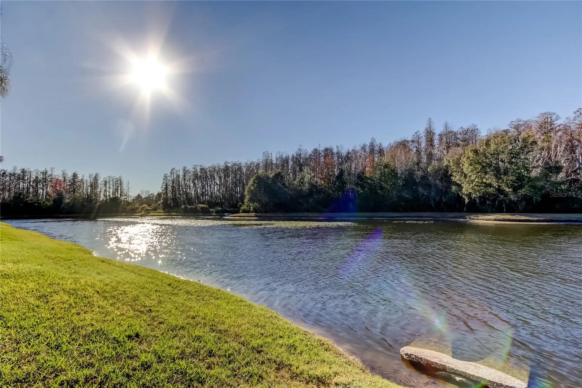 3333 Brenford Place Land O Lakes FL 34638
