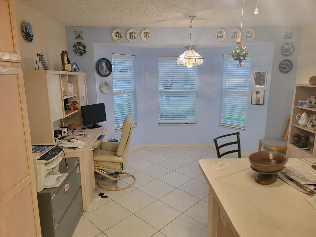 1033 Oak Forest Drive The Villages FL 32162