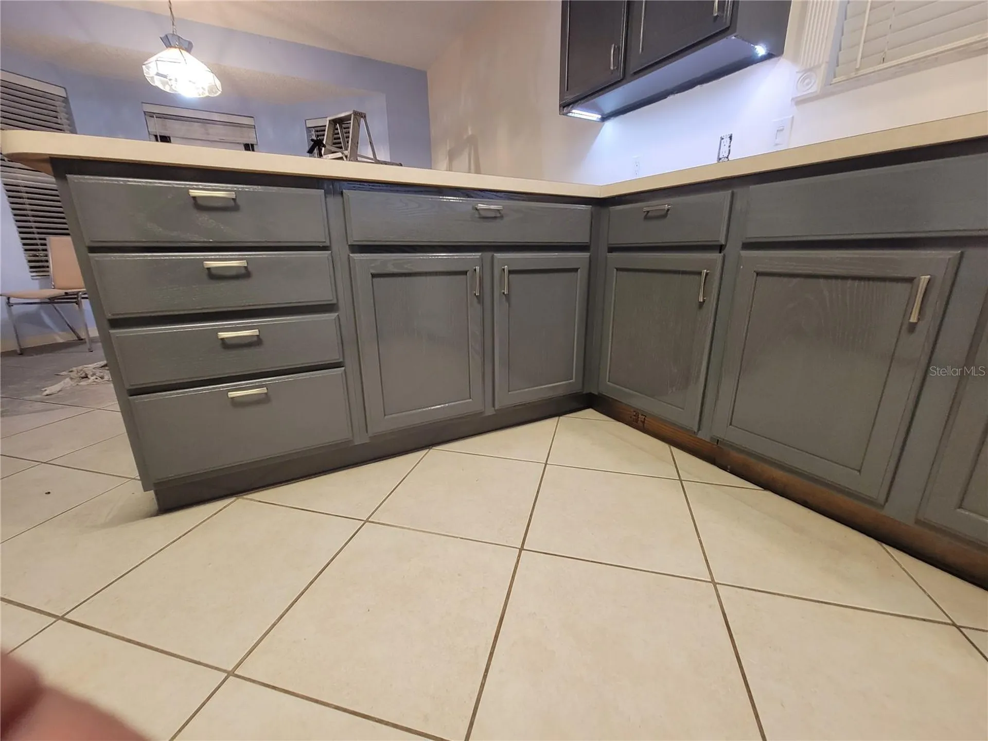 1033 Oak Forest Drive The Villages FL 32162
