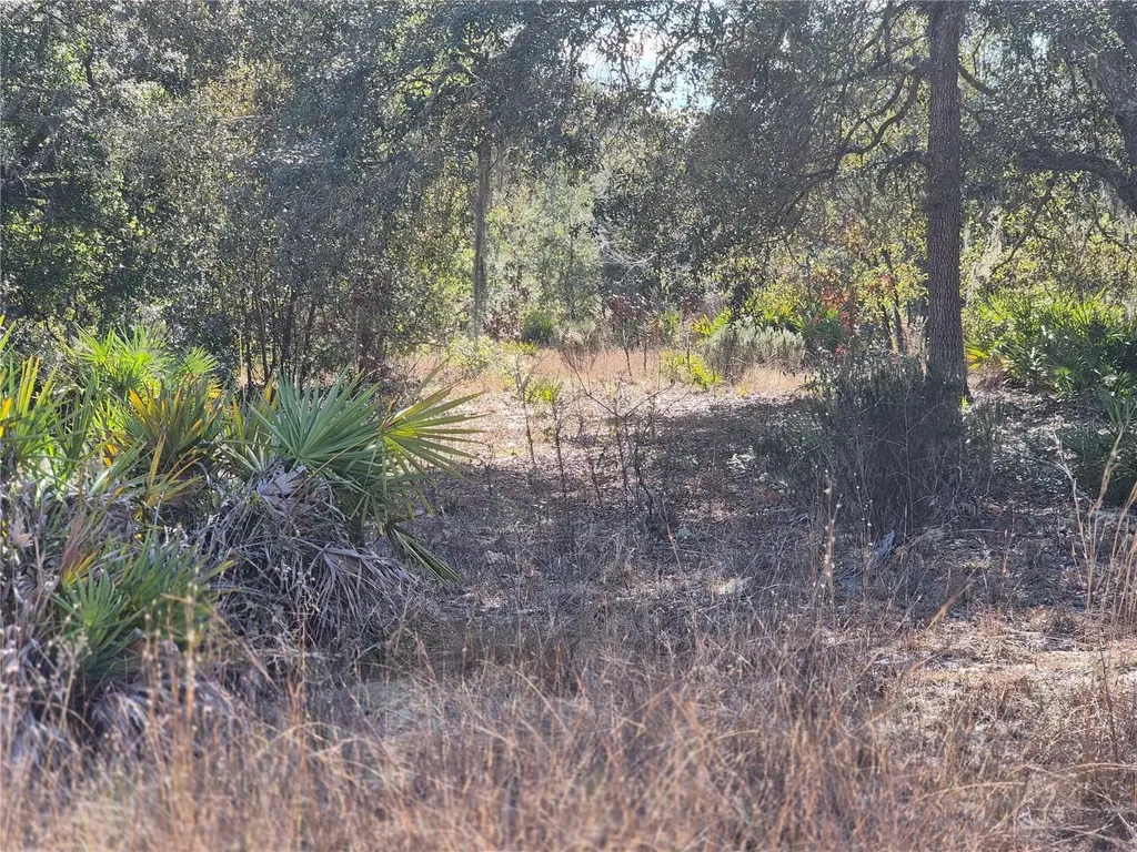 00 NE 78th Lane Bronson FL 32621