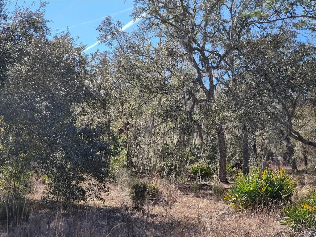 00 NE 78th Lane Bronson FL 32621