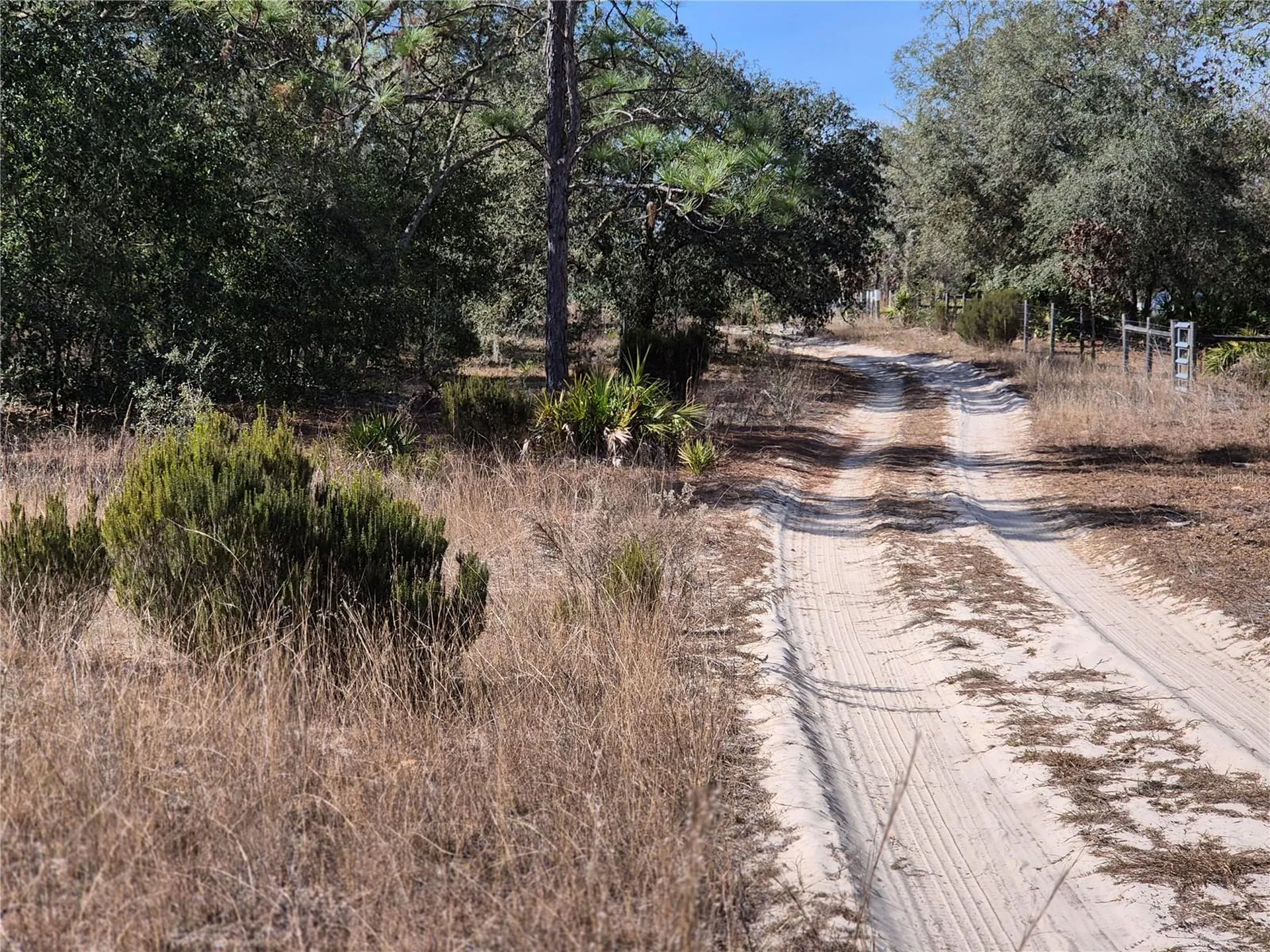 00 NE 78th Lane Bronson FL 32621