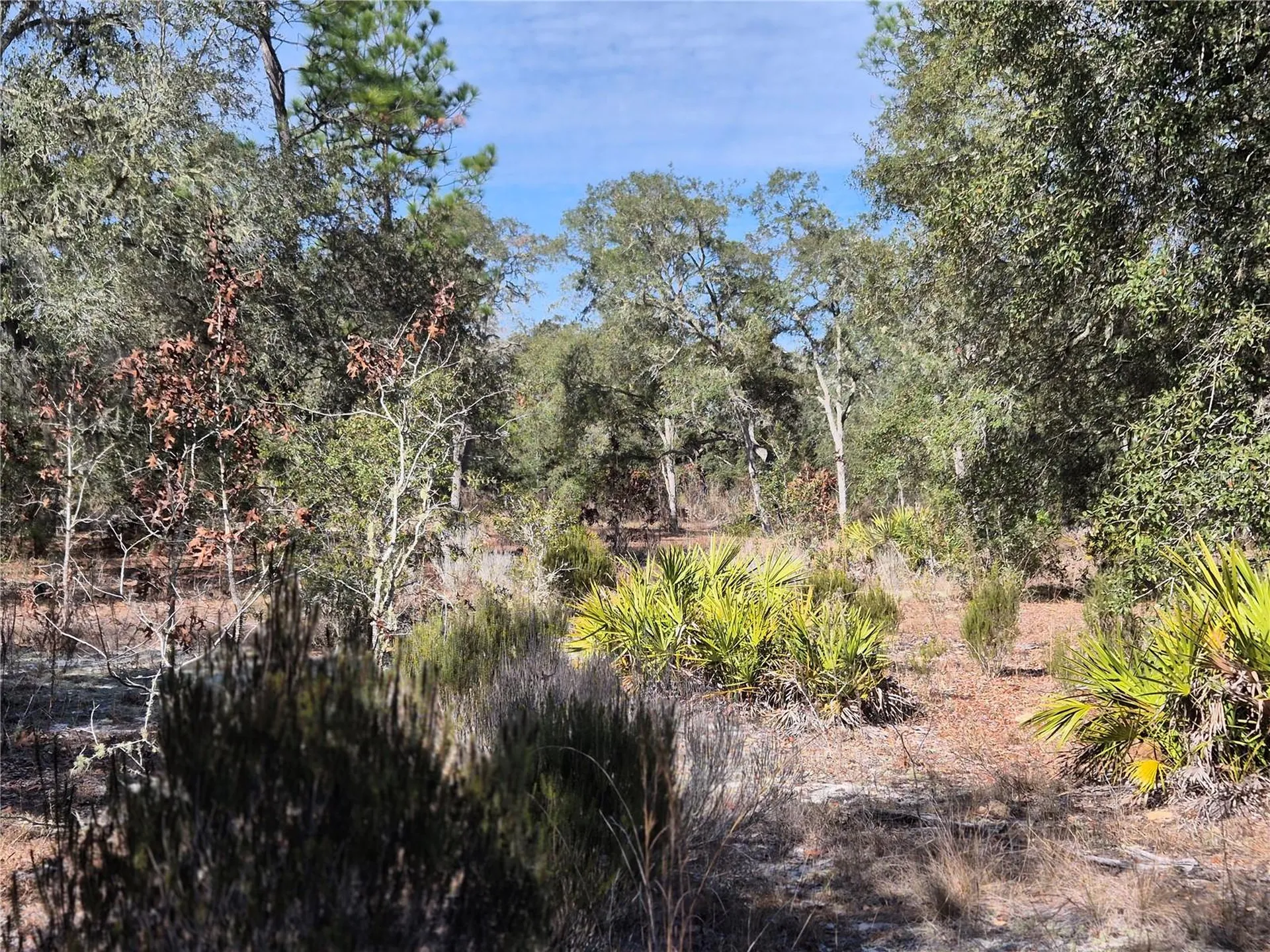 00 NE 78th Lane Bronson FL 32621