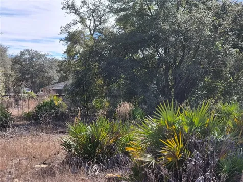 00 NE 78th Lane Bronson FL 32621