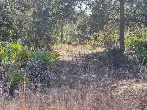 00 NE 78th Lane Bronson FL 32621