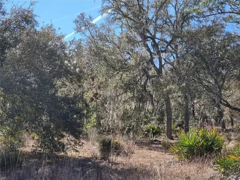 00 NE 78th Lane Bronson FL 32621