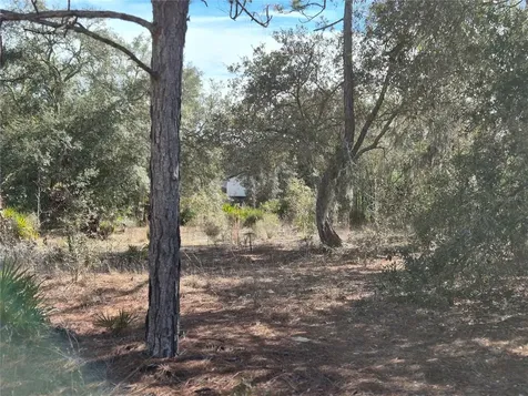 00 NE 78th Lane Bronson FL 32621