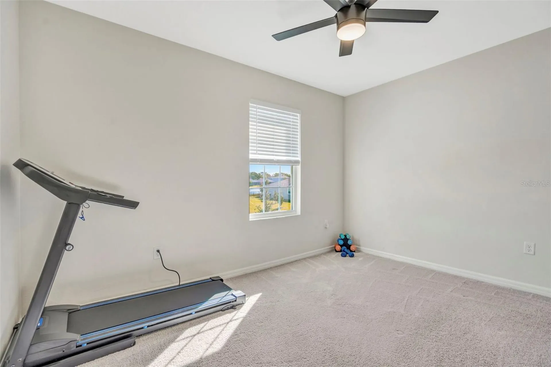 16638 Mooner Plank Circle Wimauma FL 33598