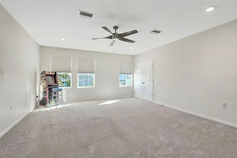 16638 Mooner Plank Circle Wimauma FL 33598