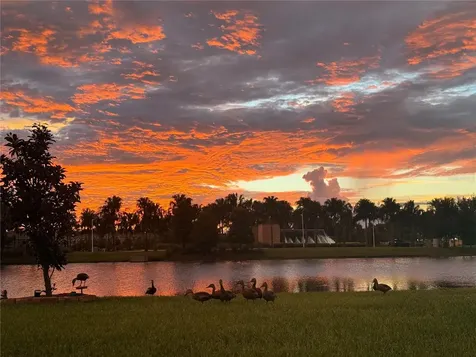 16638 Mooner Plank Circle Wimauma FL 33598
